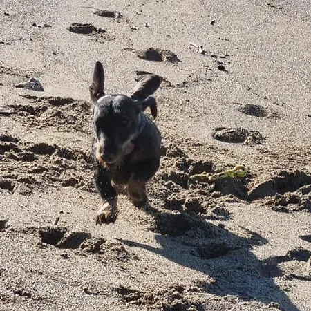 La Casina Di Adina 펜션