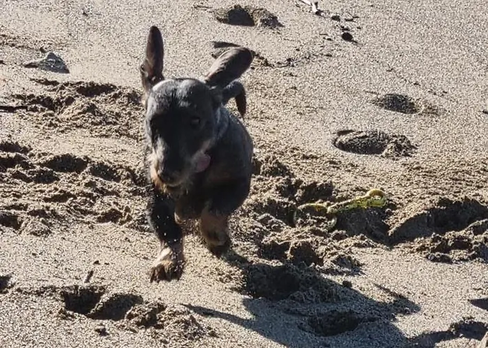 La Casina Di Adina Casa vacanze